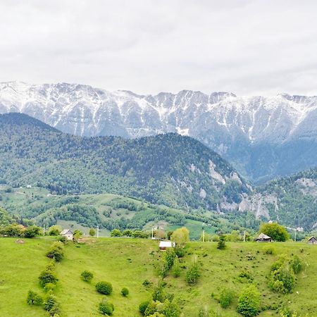 Alpine Escape Studios Măgura Esterno foto