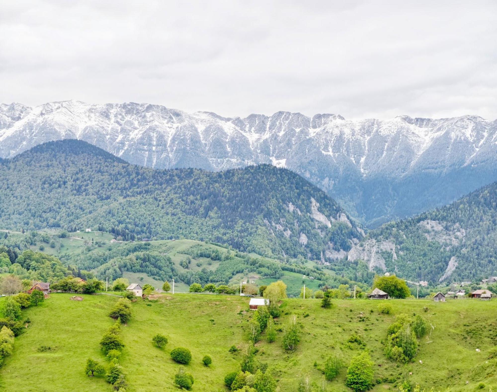 Alpine Escape Studios Măgura Esterno foto