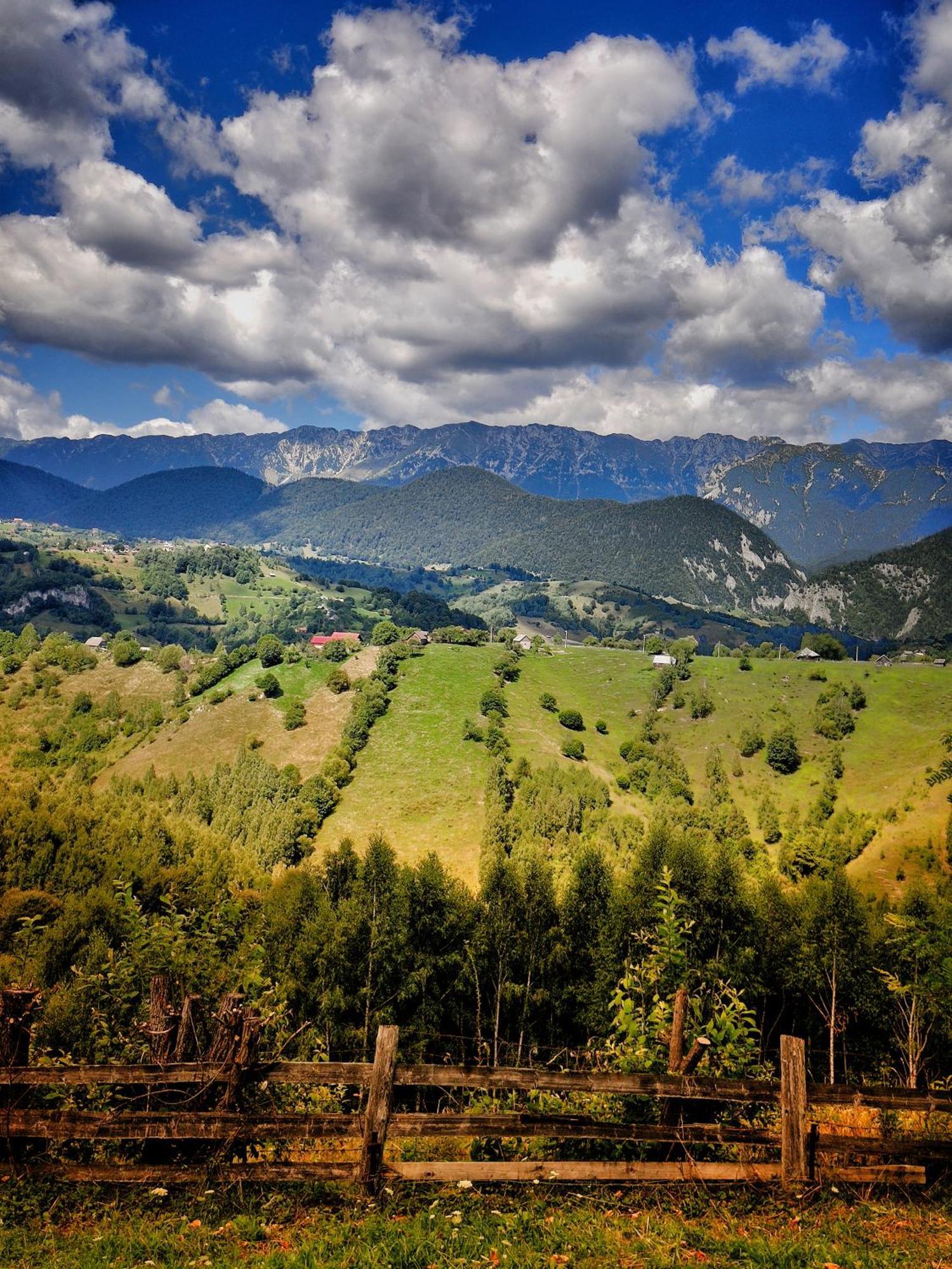 Alpine Escape Studios Măgura Esterno foto