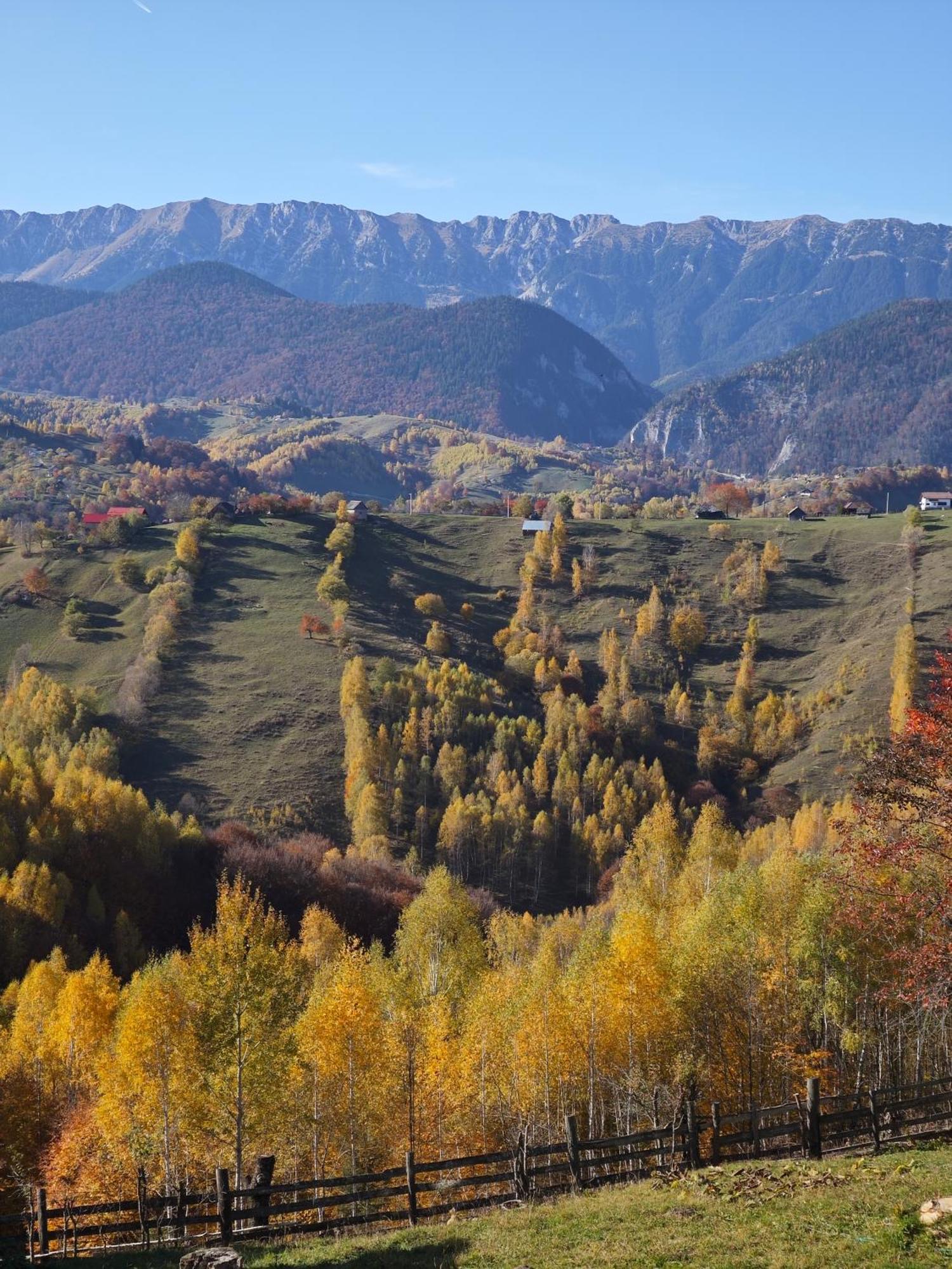 Alpine Escape Studios Măgura Esterno foto