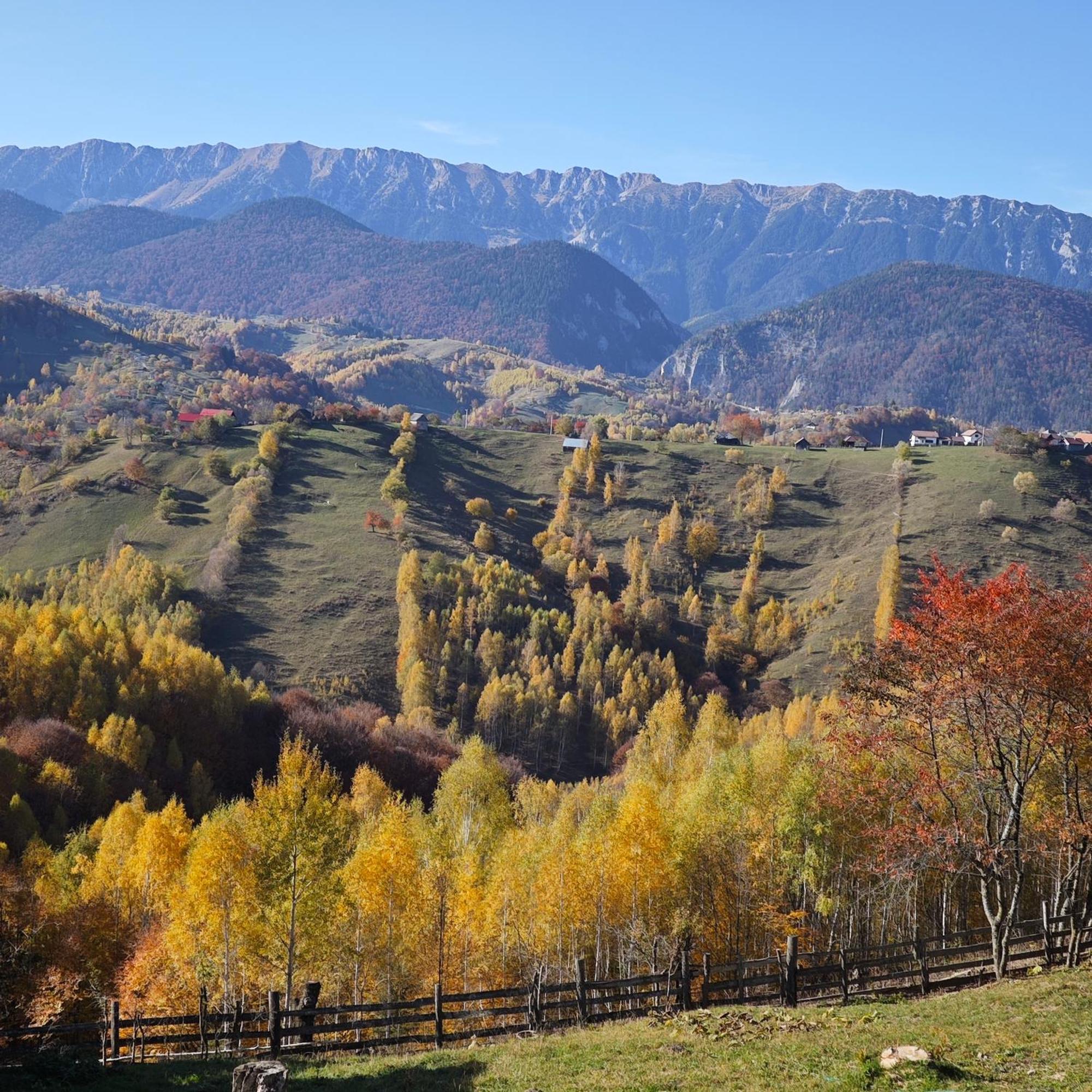 Alpine Escape Studios Măgura Esterno foto